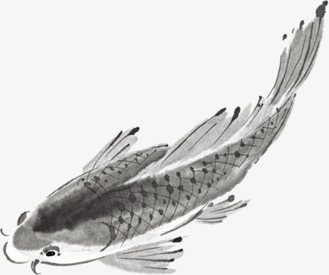 水墨鲤鱼图片素材