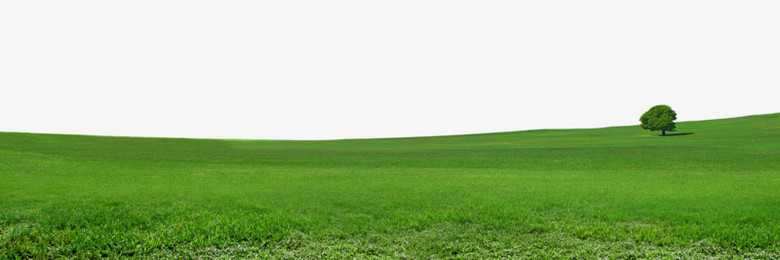 草地png图片素材下载_草地png_熊猫办公