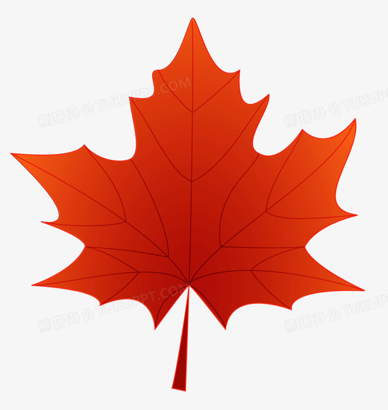 本作品全称为《红色简约风纹理清晰形状完整的枫叶元素》,在整个配色