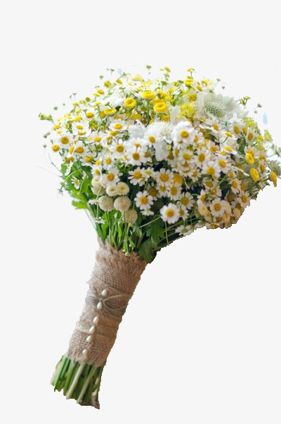 满天星雏菊花束png图片素材免费下载 菊花png 400 604像素 熊猫办公 满天星雏菊花束png图片素材免费下载 菊花png 400 604像素 熊猫办公