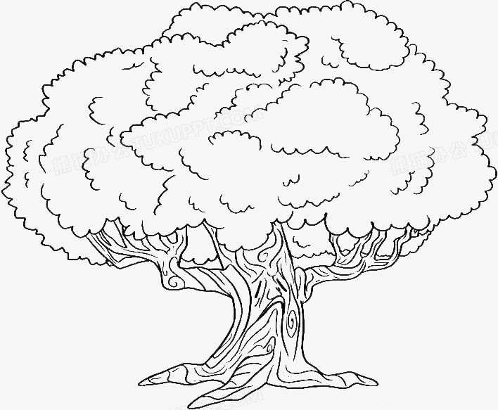 手绘老树