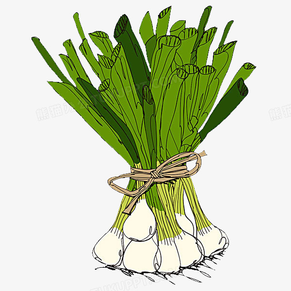 葱png图片素材下载_环保png_熊猫办公