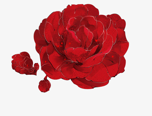 大红花png图片素材下载_红花png_熊猫办公