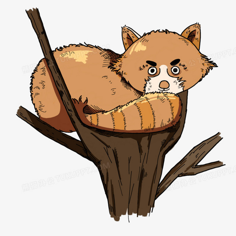 手绘卡通小浣熊免抠元素