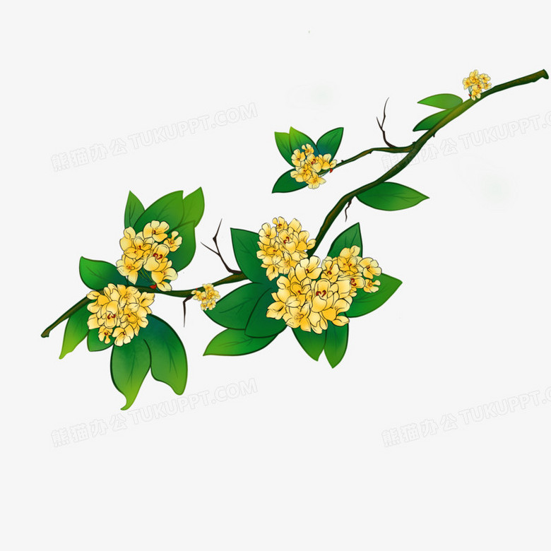 手绘彩色桂花树枝免抠元素