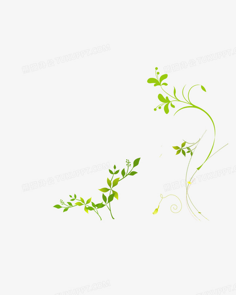 植物png图片素材免费下载 植物素材png 800 1000像素 熊猫办公