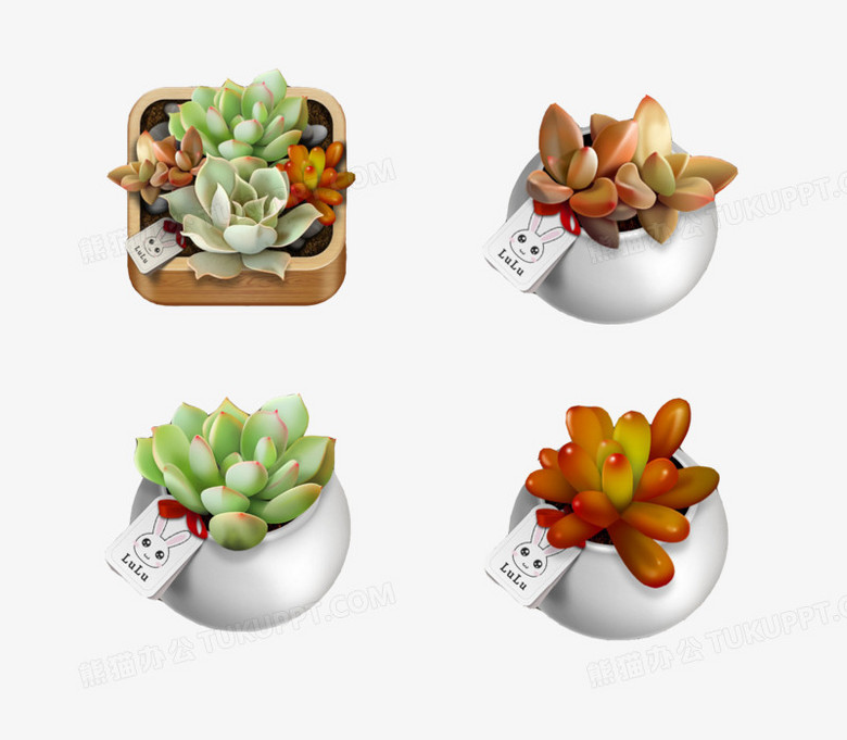 多肉植物盆栽花盆png图片素材下载 花盆png 熊猫办公