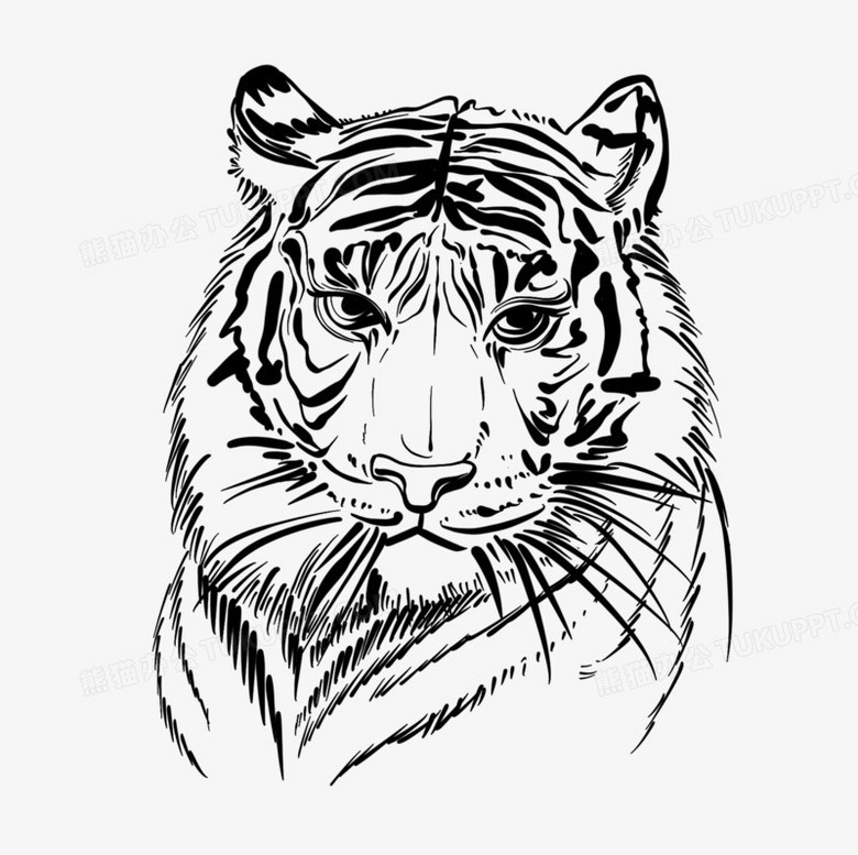 手绘黑白线描老虎头元素