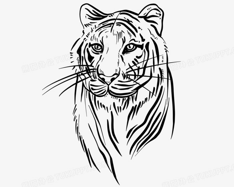 手绘线描黑白虎头元素