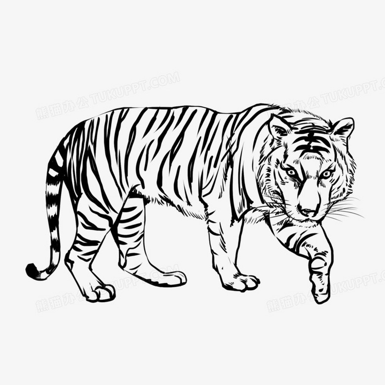 在整个配色上使用多种色彩作为基础色调,设计了黑白线稿老虎全身,整体