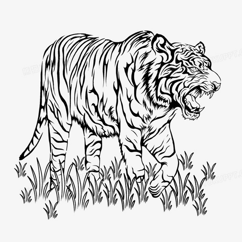 手绘黑白线稿凶猛老虎全身元素