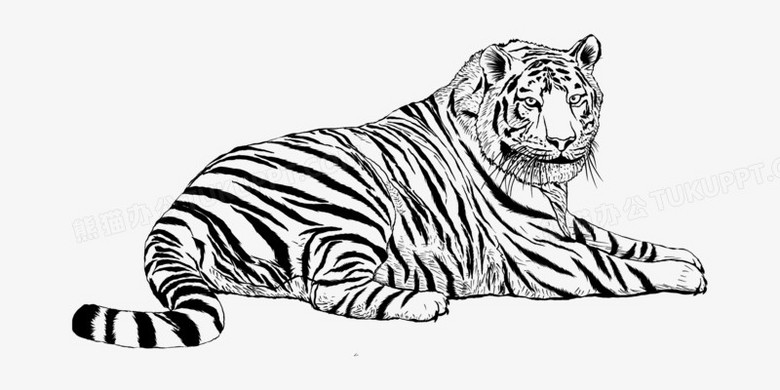 坐着的老虎简笔画可爱图片