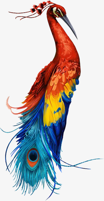 本作品全称为《彩色简约风一只美丽的孔雀创意元素》,在整个配色上