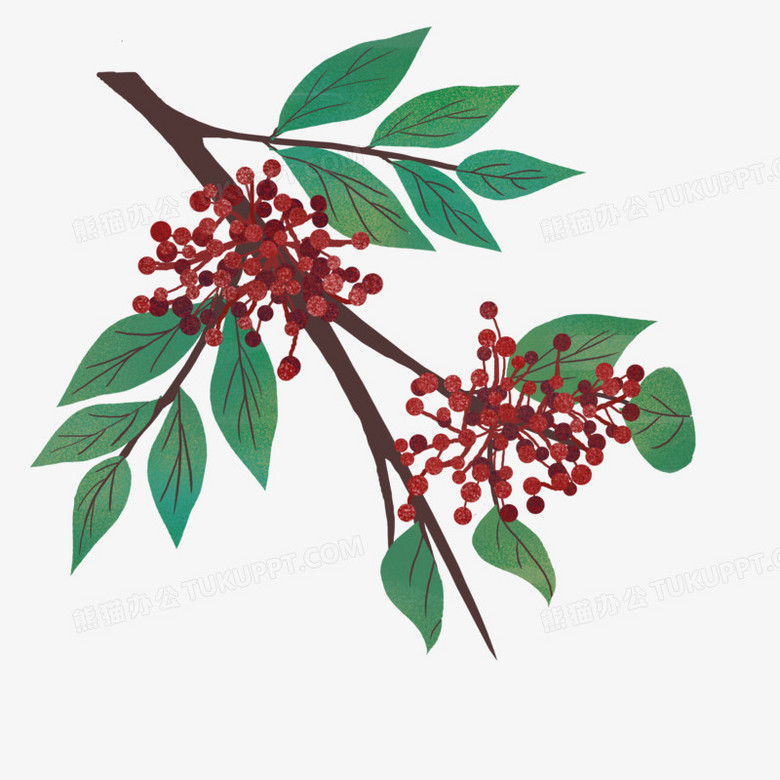 本作品全称为《卡通手绘红色花椒装饰元素》,使用 adobe photoshop cc