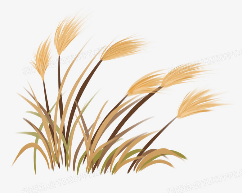 本作品全称为《卡通手绘一片芦苇植物元素》,使用 adobe photoshop cc