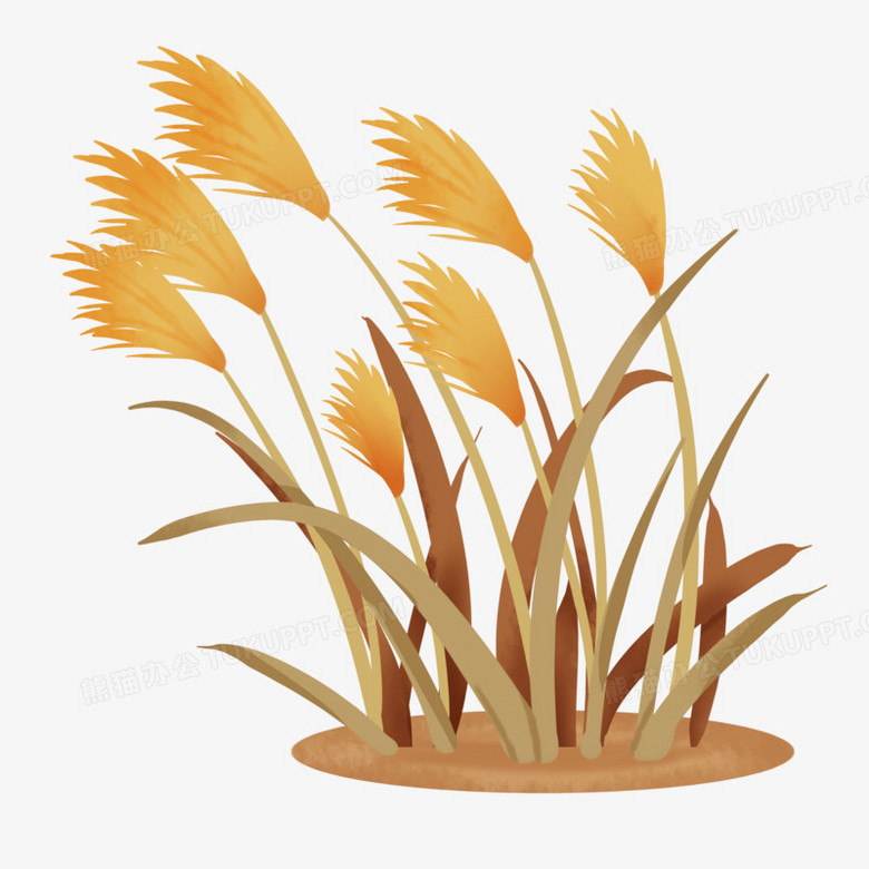 本作品全称为《卡通风一片黄色芦苇丛元素》,使用 adobe photoshop cc