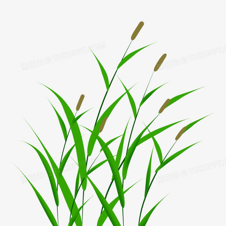 卡通手绘白露小芦苇元素