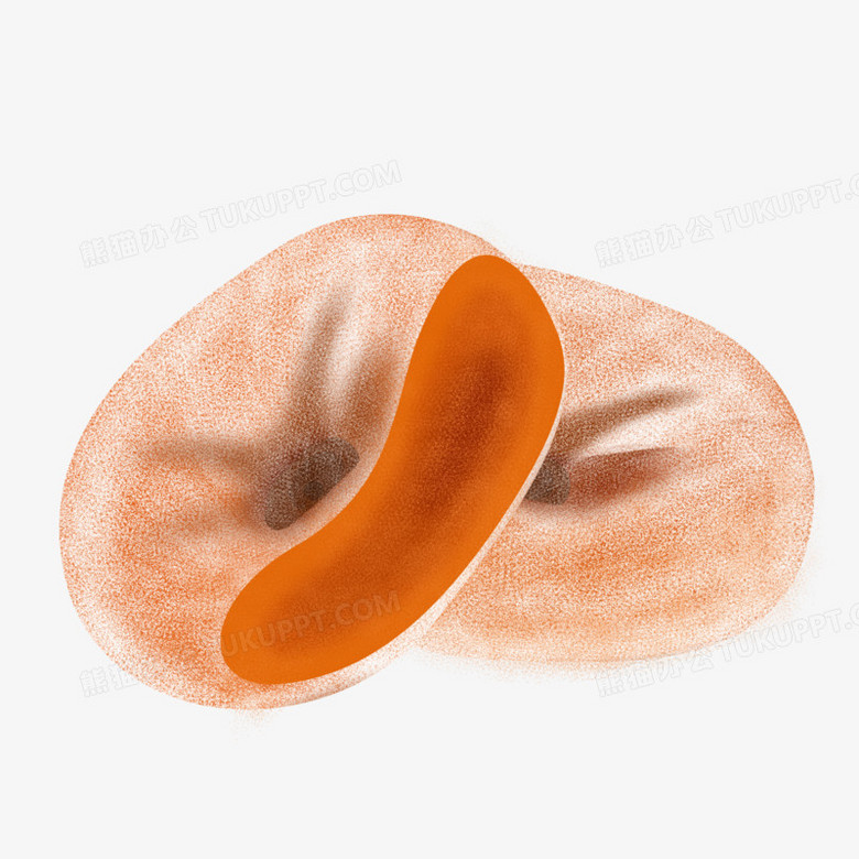 手绘秋天柿饼元素