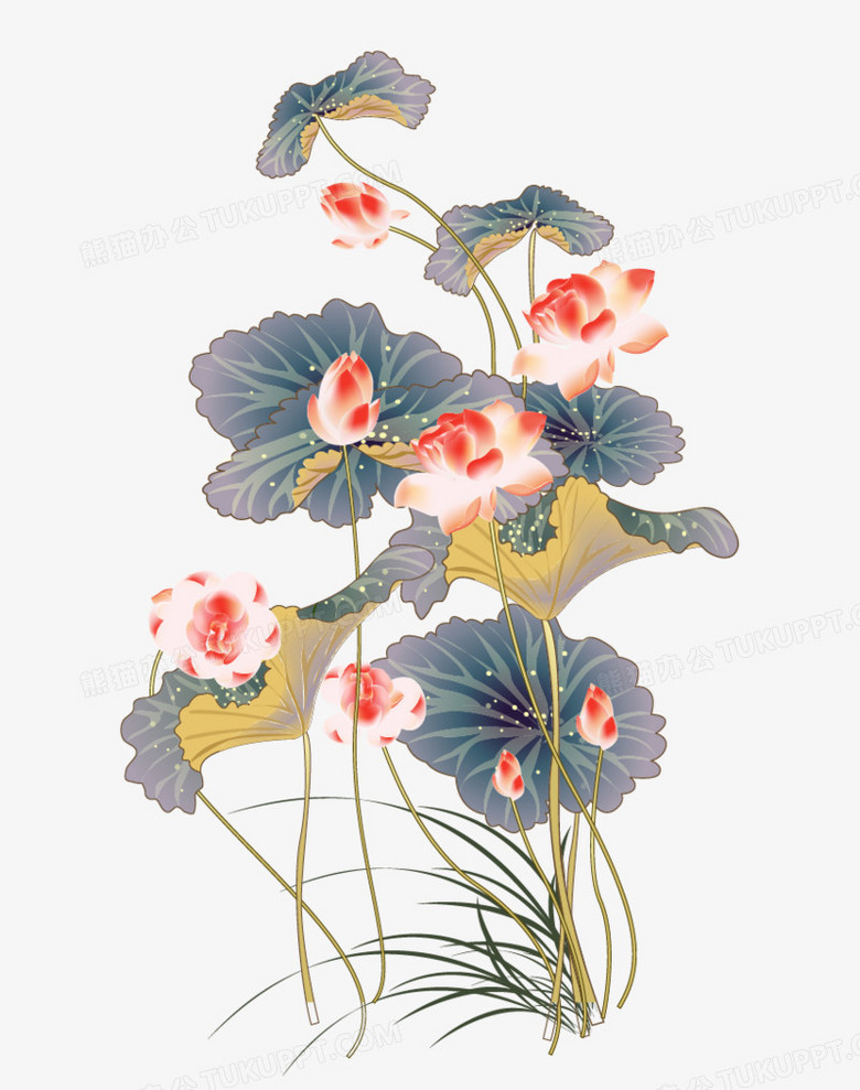 中国风淡雅盛开的荷花图片下载 荷花 中国风 水彩 莲花