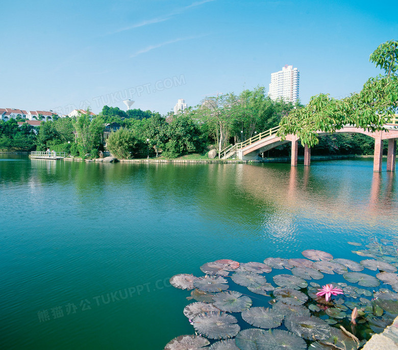 城市公园背景png图片素材下载 公园png 熊猫办公 城市公园背景png图片素材下载 公园png 熊猫办公