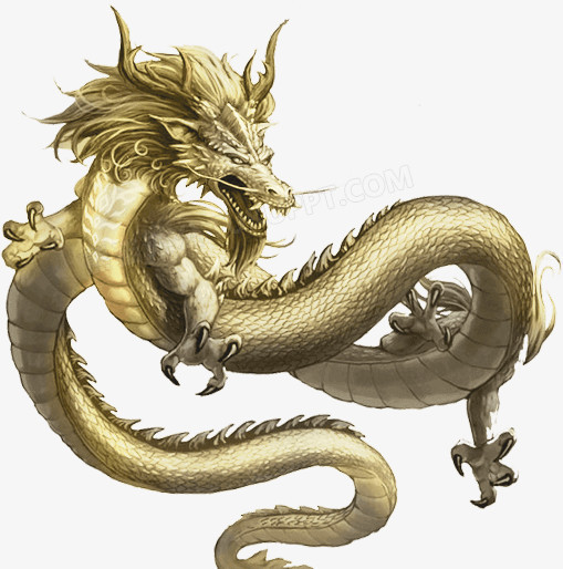 金色游戏龙纹装饰