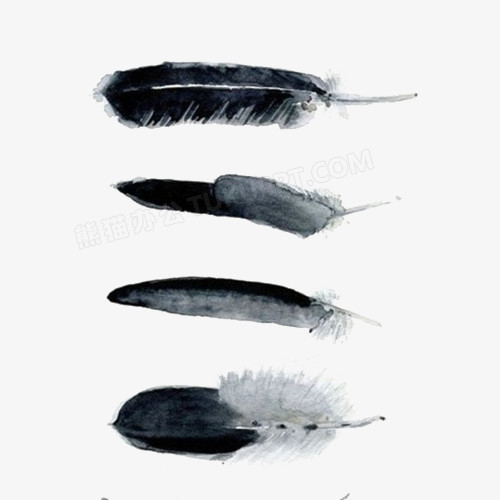 水墨画羽毛素材