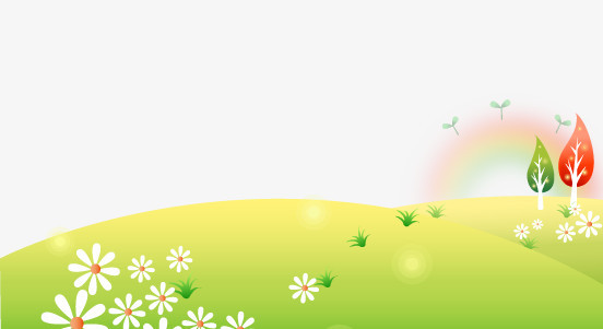 ɫͨݵ