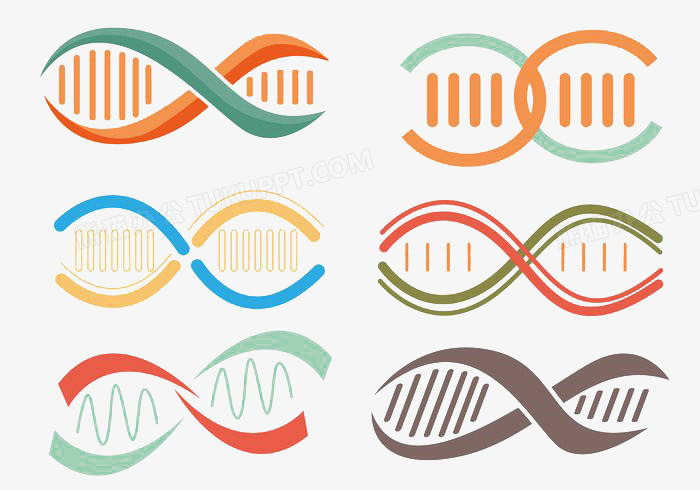 多个双螺旋向量