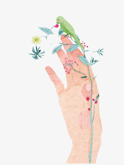 本作品内容为手, 格式为 png, 图片尺寸为800 x 1837, 作品中png图片