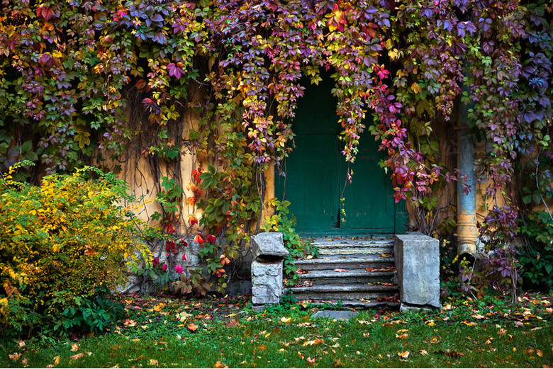 唯美小清新花墙房屋