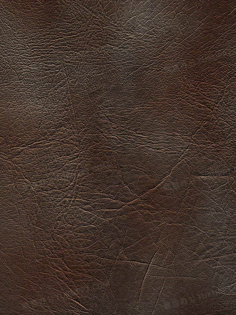真皮纹理背景