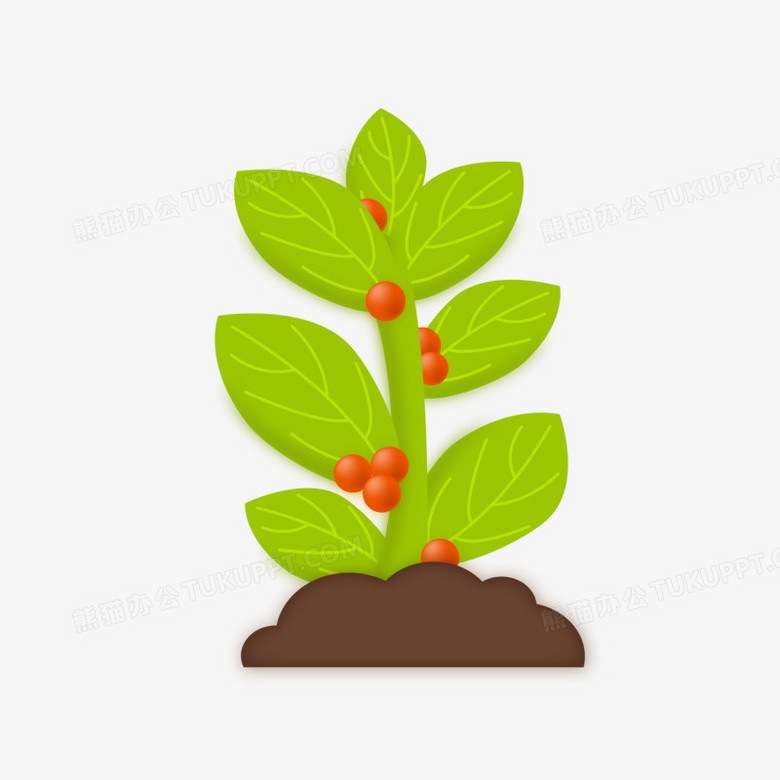 手绘植物种子生长之结果子png图片素材下载 素材png 熊猫办公 手绘植物种子生长之结果子png图片素材下载 素材png 熊猫办公