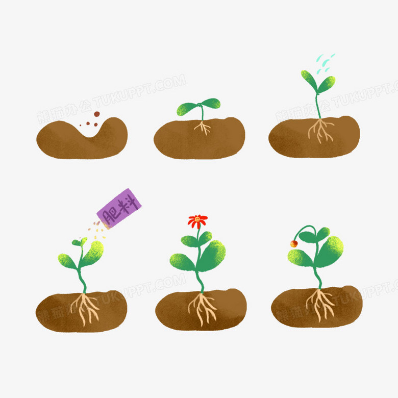 一组卡通手绘植物生长过程素材