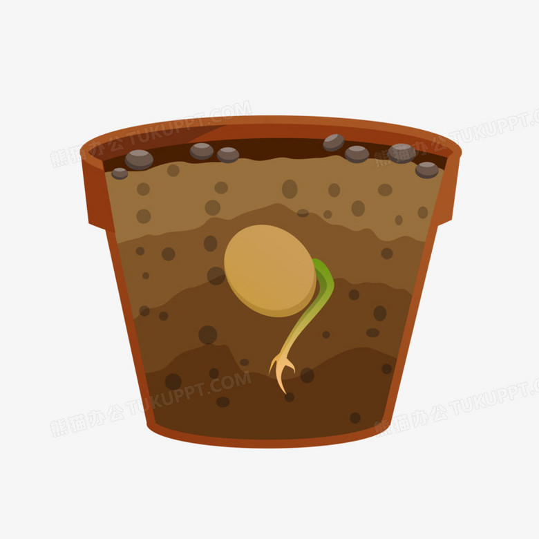 手绘卡通水果萝卜种子生根素材