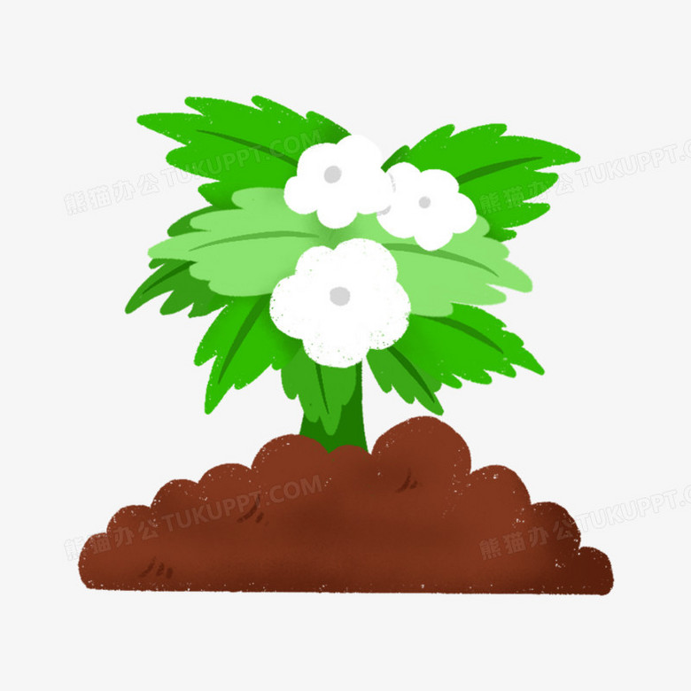 手绘卡通植物生长过程开花阶段免抠元素