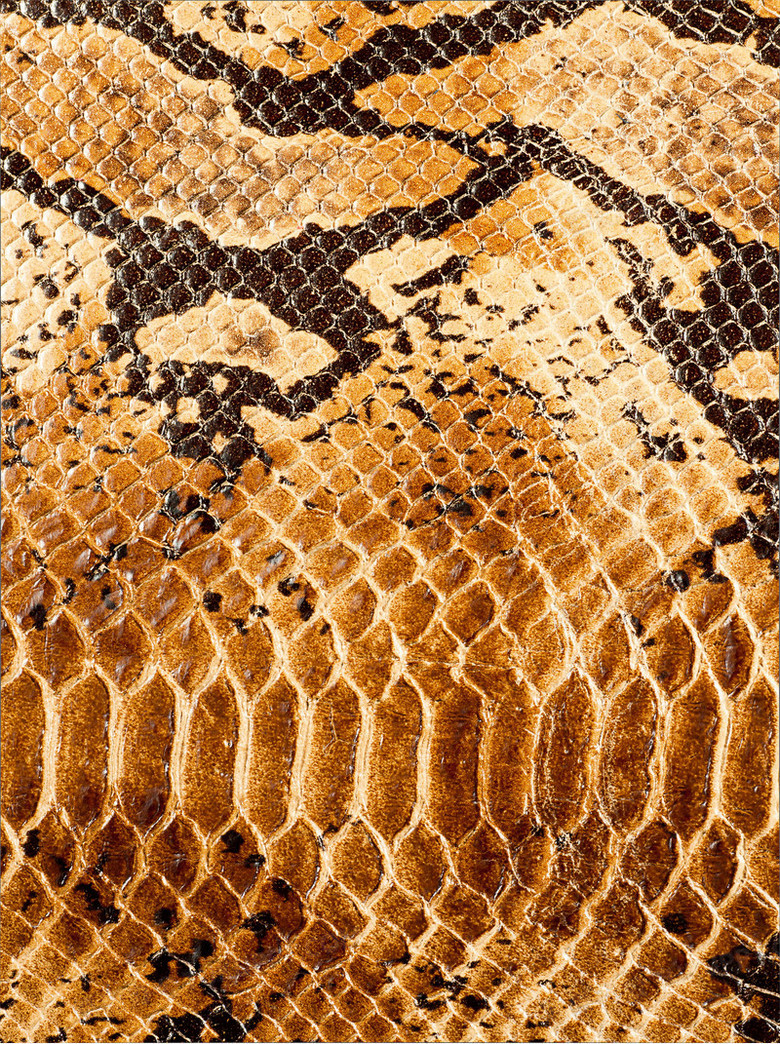 蛇皮png图片素材下载_蛇皮png_熊猫办公