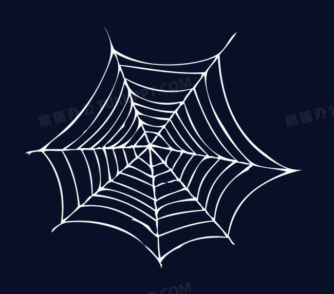 漂亮白色蜘蛛网