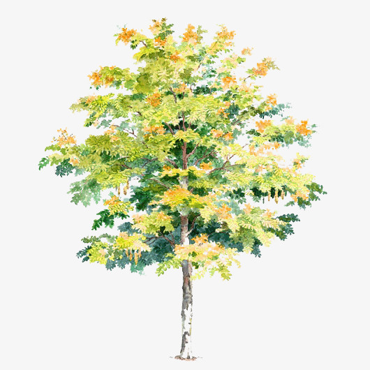 插画风树png图片素材下载_手绘png_熊猫办公