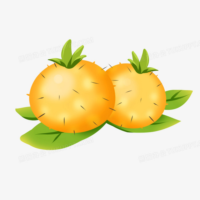 手绘卡通刺梨免抠素材