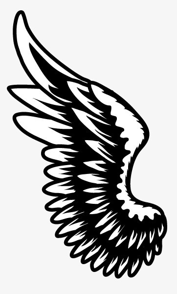 本作品全称为《黑色简约手绘精美好看的翅膀创意元素》,在整个配色上