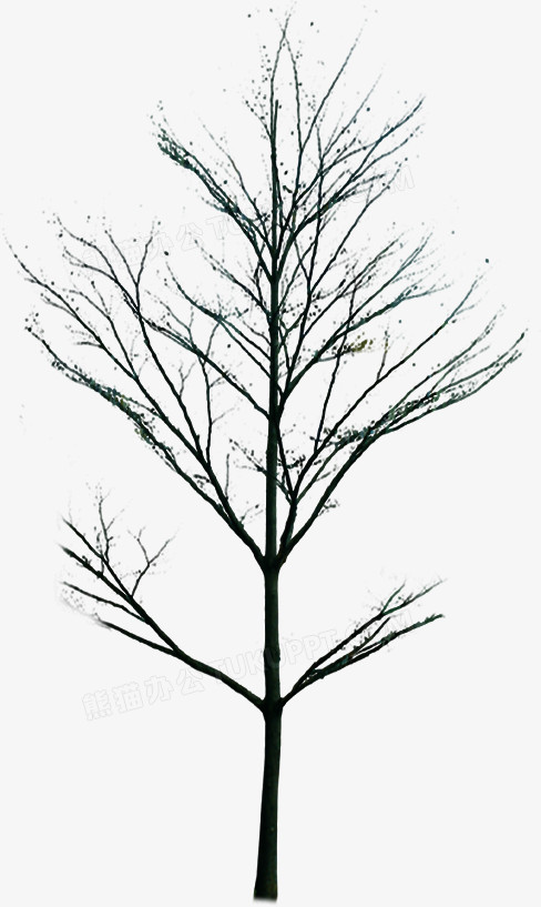 创意高清合成效果枯树黑白风格png图片素材下载_创意png_熊猫办公