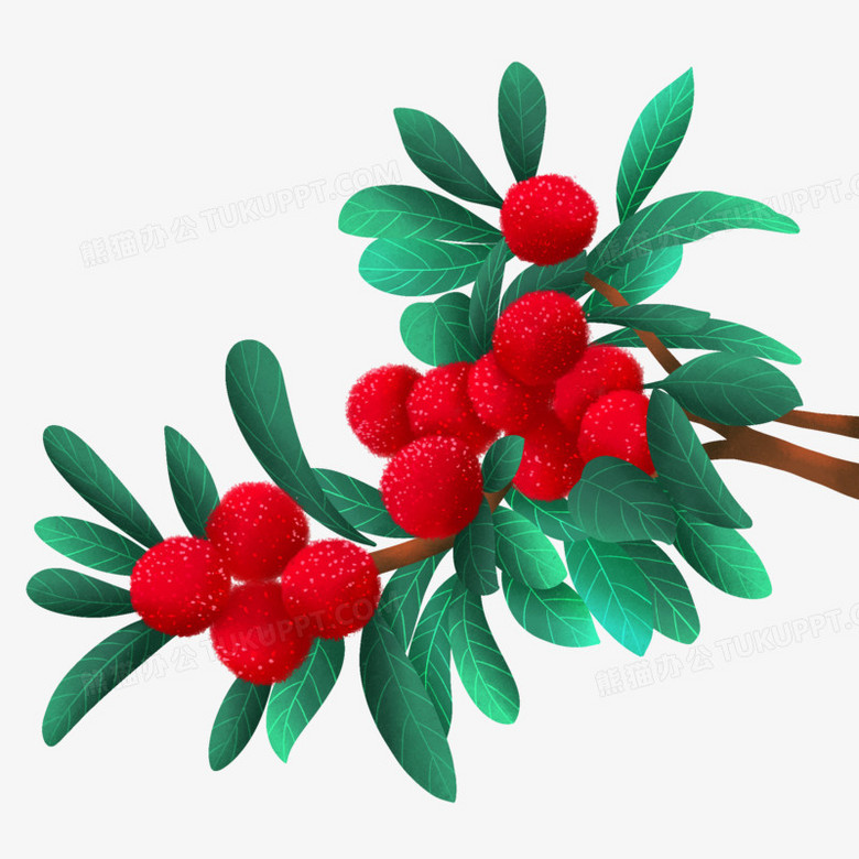 手绘插画风五月代表水果杨梅免抠元素