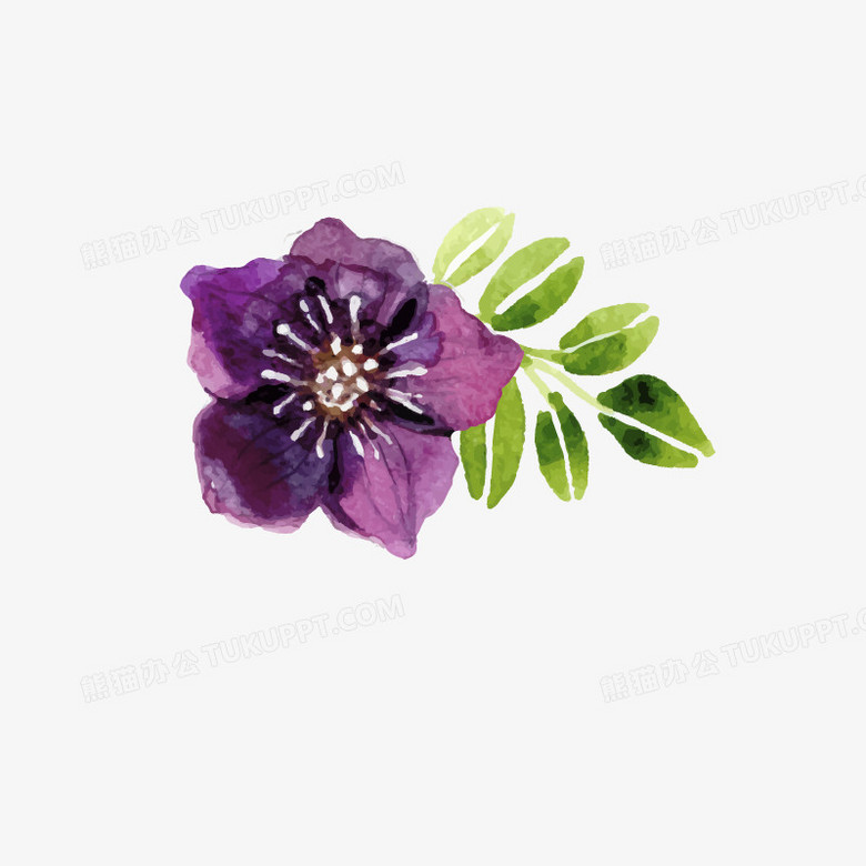 紫色水彩花png图片素材下载 紫色水彩png 熊猫办公 紫色水彩花png图片素材下载 紫色水彩png 熊猫办公