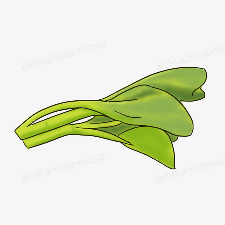 手绘卡通空心菜元素