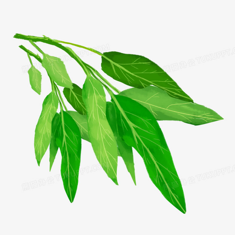 手绘蔬菜空心菜png图片素材下载_素材png_熊猫办公