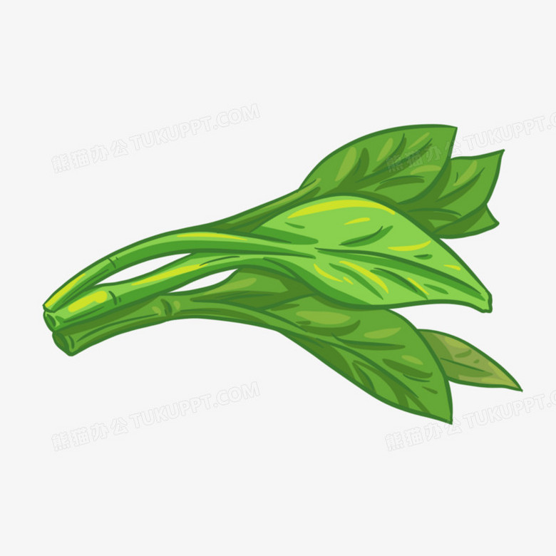 本作品全称为《绿色卡通手绘翠绿的空心菜创意元素》,使用 adobe