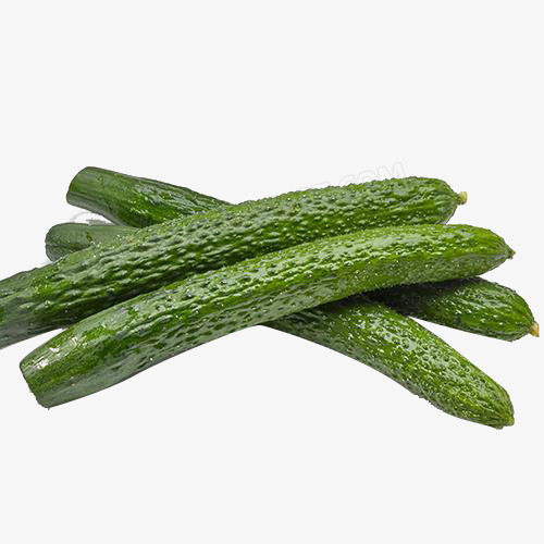 生鲜黄瓜png图片素材下载_生鲜png_熊猫办公