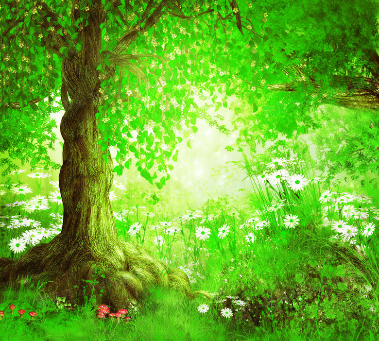 绿色树林风景背景