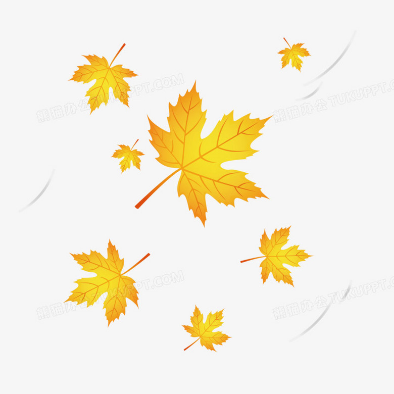 手绘风吹梧桐树的落叶免抠漂浮素材