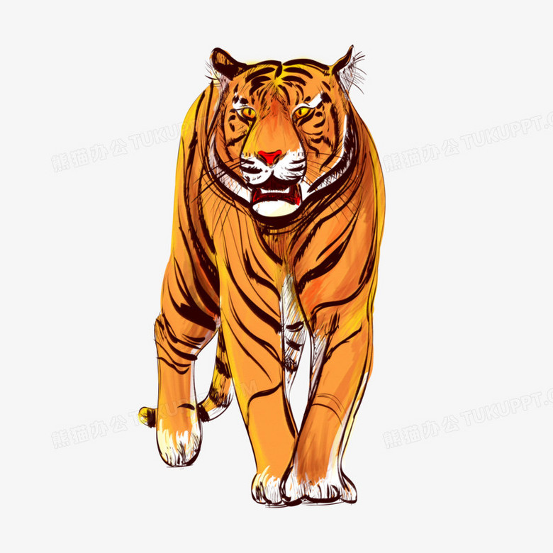 手绘卡通百兽之王老虎元素